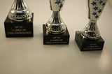 TROPHY CUP SET!  FREE ENGRAVING!  SHIPS IN 1 BUSINESS DAY!!