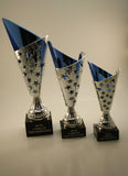 TROPHY CUP SET!  FREE ENGRAVING!  SHIPS IN 1 BUSINESS DAY!!