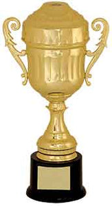 11 3/4" Gold Plastic Completed Cup Trophy