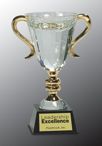 8 1/2" Crystal Cup with Gold Handles and Stem