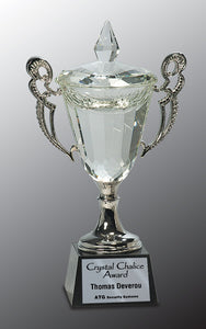 11 1/4" Crystal Cup with Silver Handles and Stem