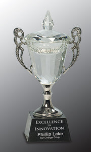 8" Crystal Cup with Silver Handles and Stem