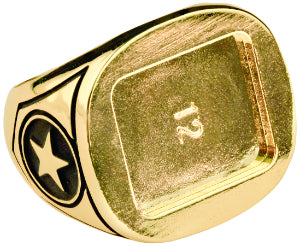 Size 9 Gold Champion Ring