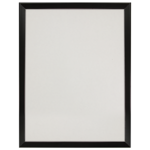 Kota Pro 18" x 24" Black Snap Frame