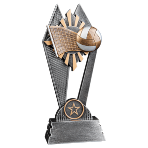 8" Volleyball Sun Ray Award