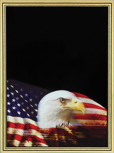 3 7/8" x 5 7/8" Eagle Brass Plated Steel Hi-Def Plaque Plate