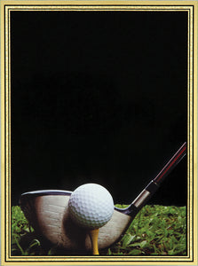 3 7/8" x 5 7/8" Golf Brass Plated Steel Hi-Def Plaque Plate
