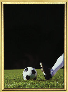 3 7/8" x 5 7/8" Soccer Brass Plated Steel Hi-Def Plaque Plate