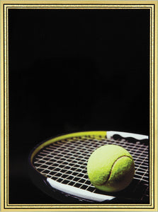 3 7/8" x 5 7/8" Tennis Brass Plated Steel Hi-Def Plaque Plate