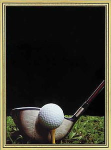 5 7/8" x 7 7/8" Golf Brass Plated Steel Hi-Def Plaque Plate