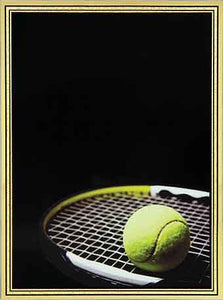 5 7/8" x 7 7/8" Tennis Brass Plated Steel Hi-Def Plaque Plate