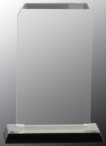 3 1/2" x 6 1/2" Silver Clipped Corner Impress Acrylic