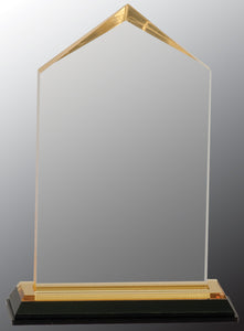 3 1/2" x 6 1/2" Gold Jewel Impress Acrylic